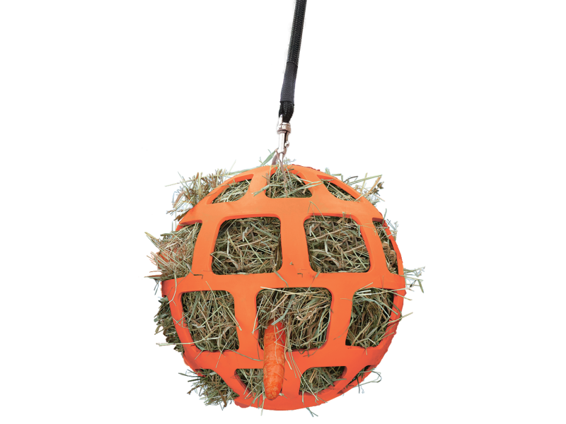 Slowfeeder na seno zábava a flexibilita