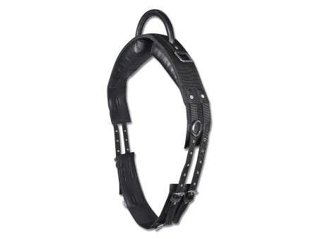 Madlá Waldhausen shetty