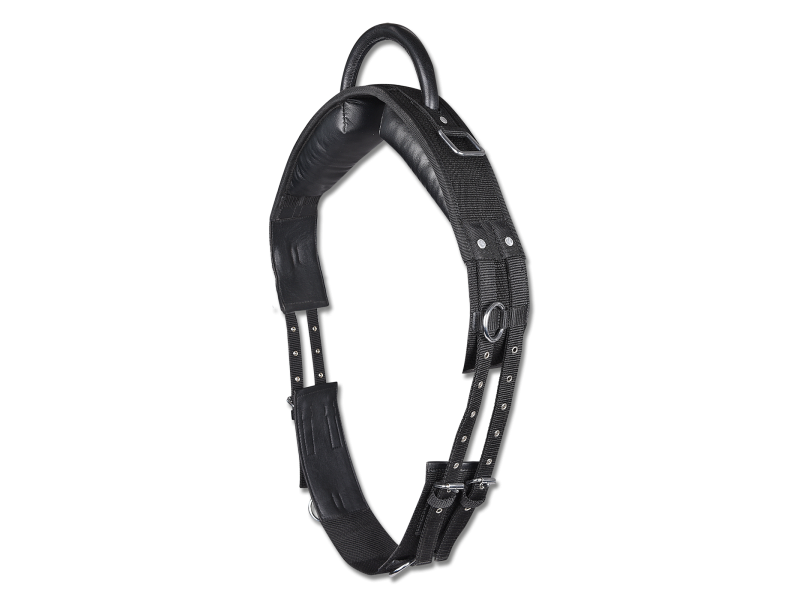 Madlá Waldhausen shetty