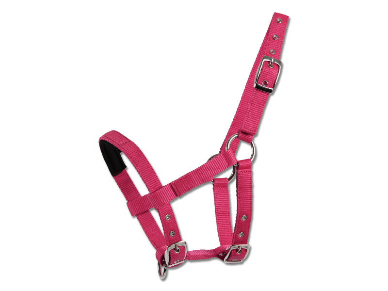 Ohlávka nylonová Awa mini-shetty