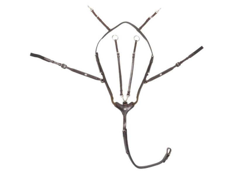 Uzdečka s oťažami Lorenz Kavalkade