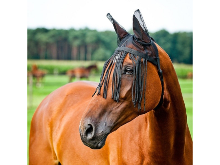  Ušaňa so strapcami Horze