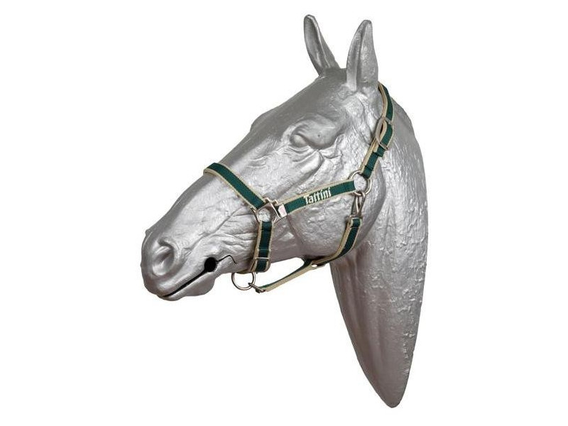 Ohlávka nylonová s karabínou Tattini