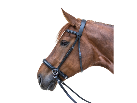 Uzdečka bezzubadlová Star