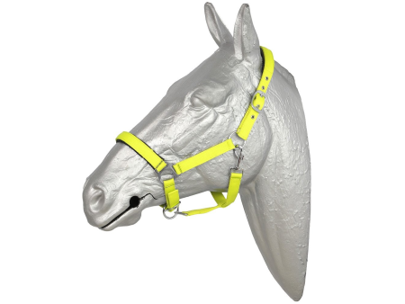 Ohlávka nylonová  Fluo Norton