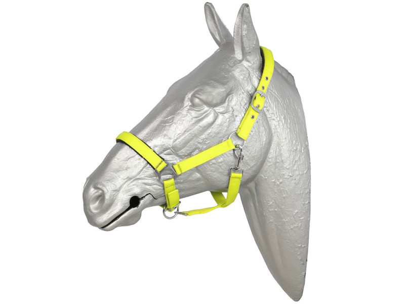 Ohlávka nylonová  Fluo Norton