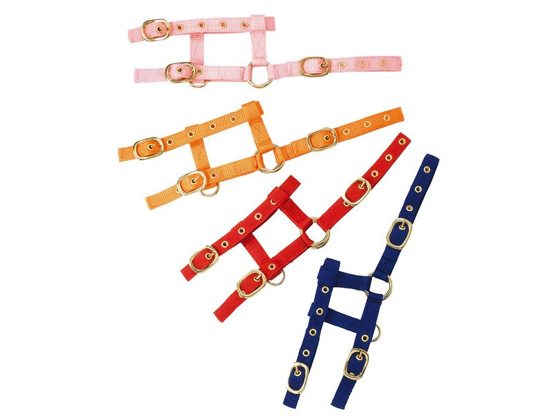 Ohlávka nylonová na žriebä Mini