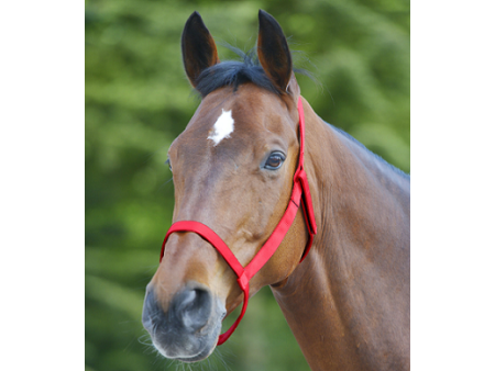 Ohlávka nylonová Awa