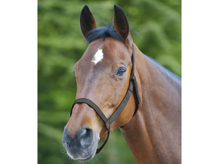 Ohlávka nylonová Awa