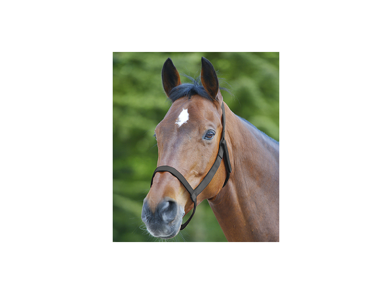 Ohlávka nylonová Awa