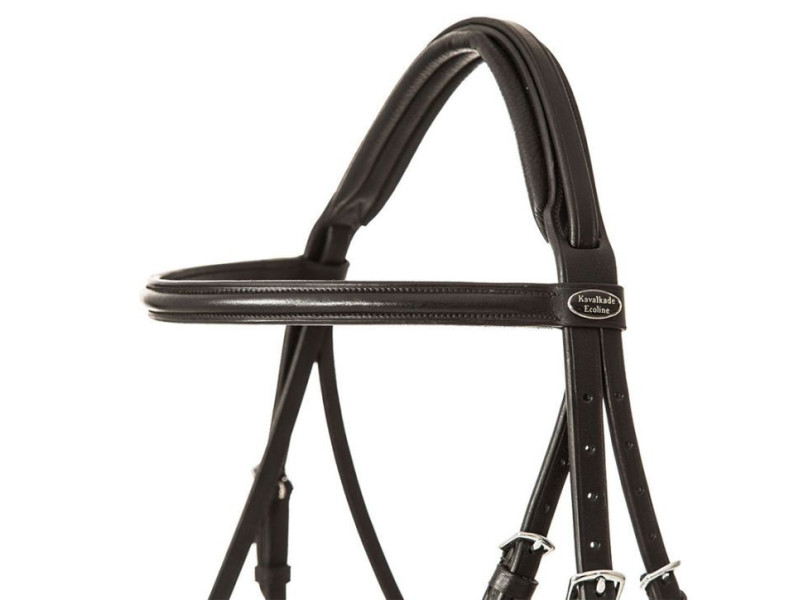 Uzdečka s oťažami Quentin Kavalkade