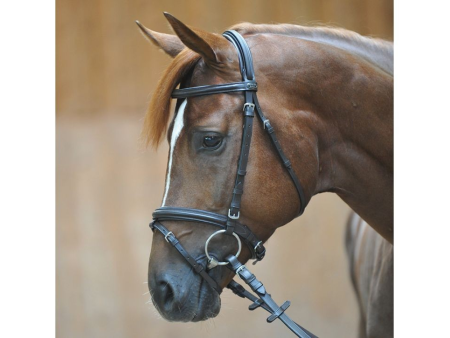 Uzdečka s oťažami Quentin Kavalkade