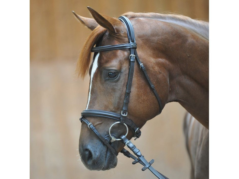 Uzdečka s oťažami Quentin Kavalkade