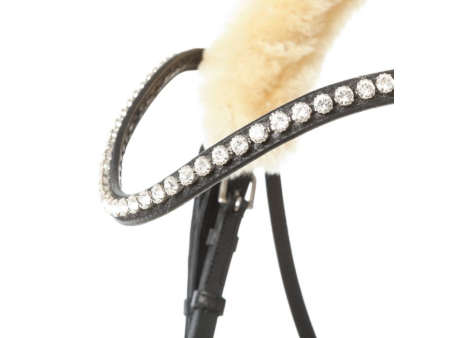 Uzdečka s anglickým nánosníkom Kavalkade Ivy Lammfell