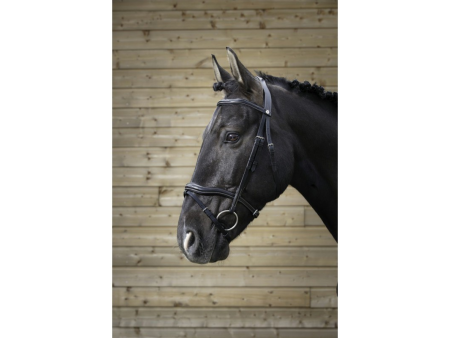 Uzdečka Norton Pro Découpé