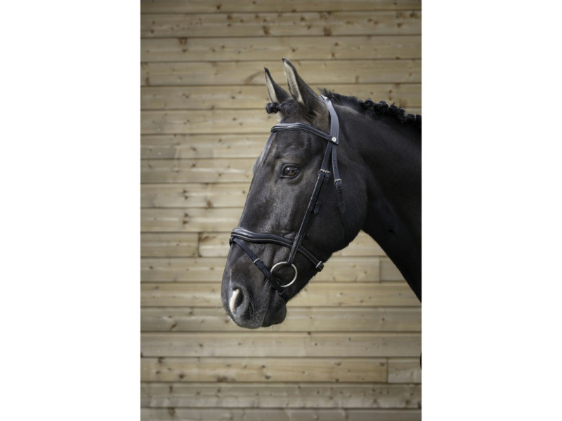 Uzdečka Norton Pro Découpé