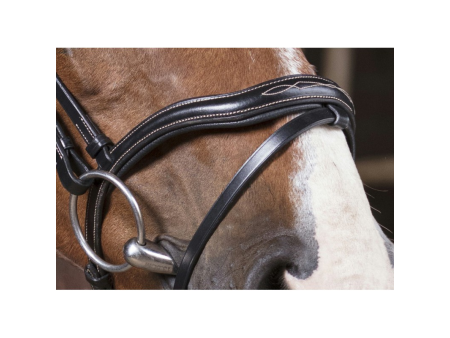 Uzdečka Norton Pro Découpé