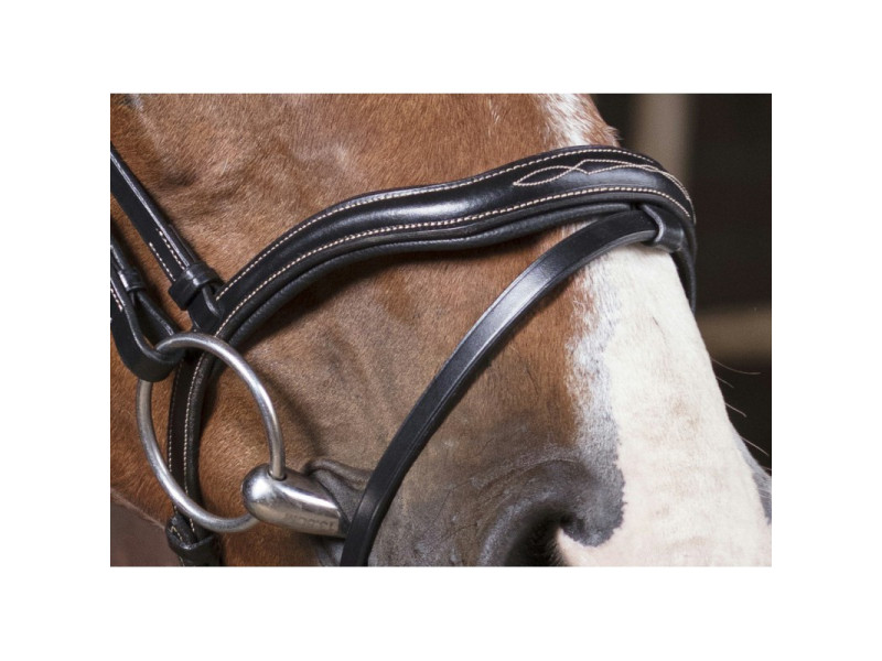 Uzdečka Norton Pro Découpé