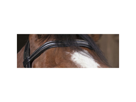 Uzdečka Norton Pro Découpé