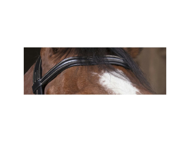 Uzdečka Norton Pro Découpé