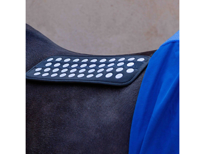 Deka na koňa akupresúrna Accuhorsemat® Original