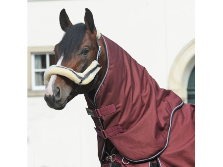 Deka na krk koňa Kavalkade Alaska IV