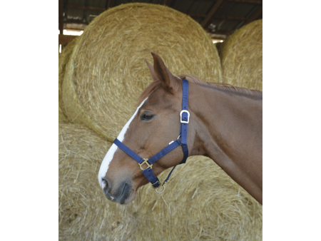 Ohlávka nylonová Riding World
