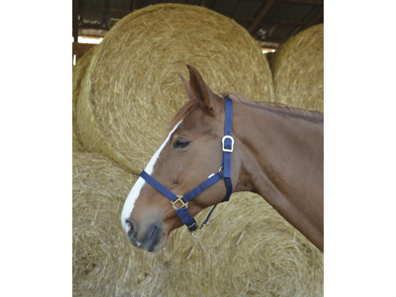 Ohlávka nylonová Riding World