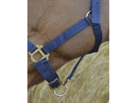 Ohlávka nylonová Riding World