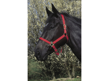 Ohlávka nylonová Riding World