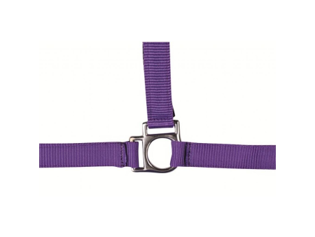 Ohlávka nylonová HKM Stars