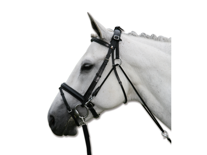 Chambón elastický Star čierny