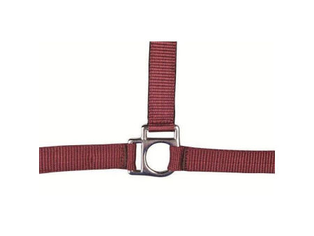 Ohlávka nylonová HKM Stars