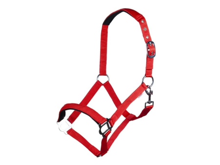 Ohlávka nylonová HKM Stars