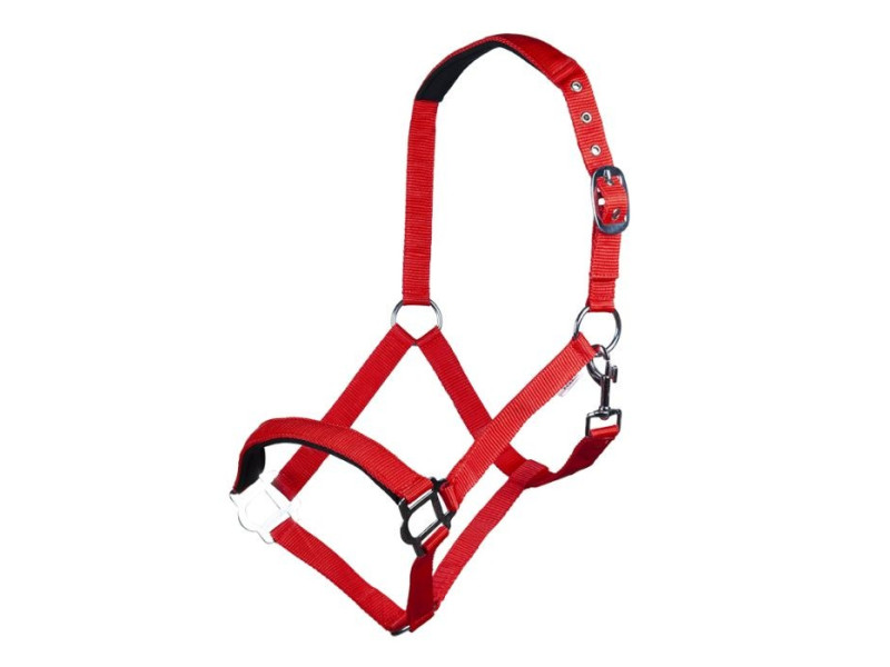 Ohlávka nylonová HKM Stars