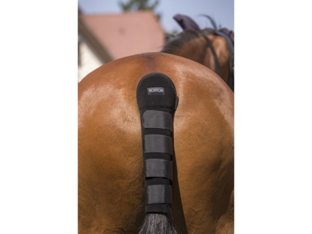 Chránič chvosta Norton