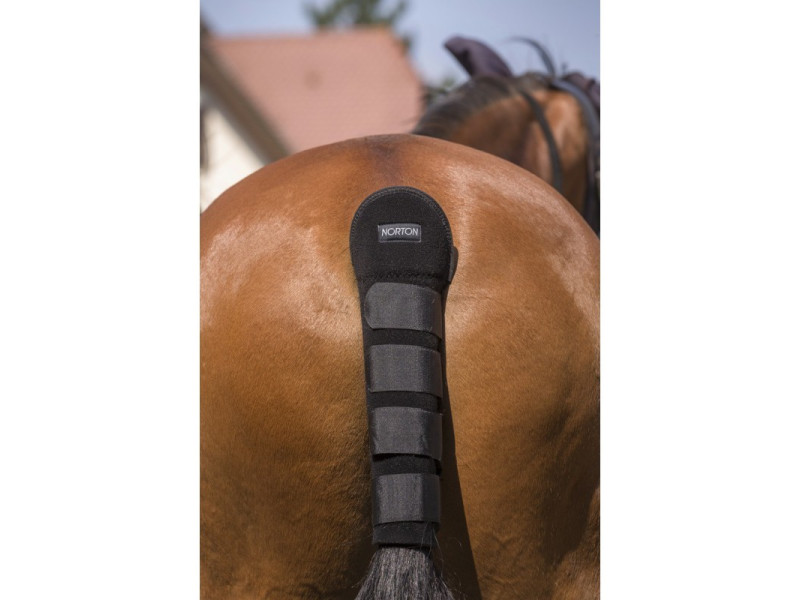 Chránič chvosta Norton