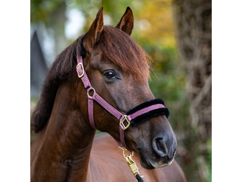 Ohlávka nylonová Kavalkade Gretchen