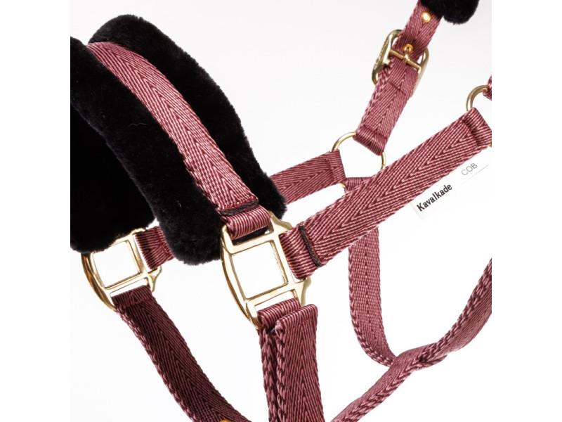 Ohlávka nylonová Kavalkade Gretchen