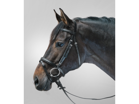 Uzdečka s oťažami Star Lifestyle