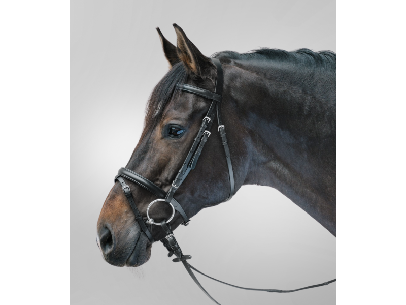 Uzdečka s oťažami Star Lifestyle Pony