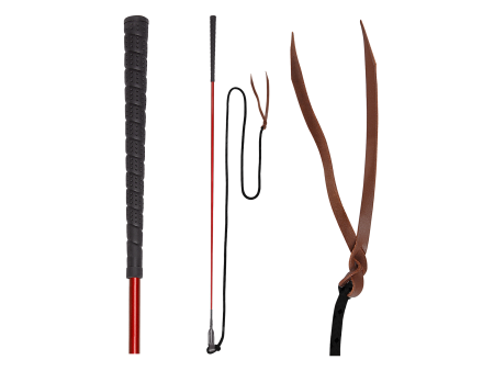 Bič "Horsemanship" Waldhausen