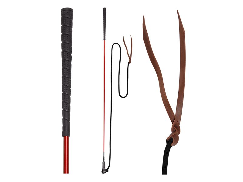 Bič "Horsemanship" Waldhausen