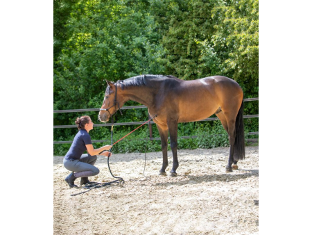 Bič "Horsemanship" Waldhausen