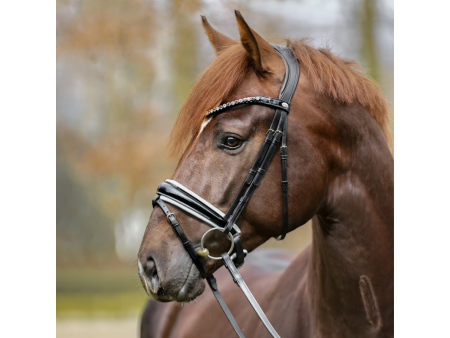 Uzdečka Kavalkade Liliana