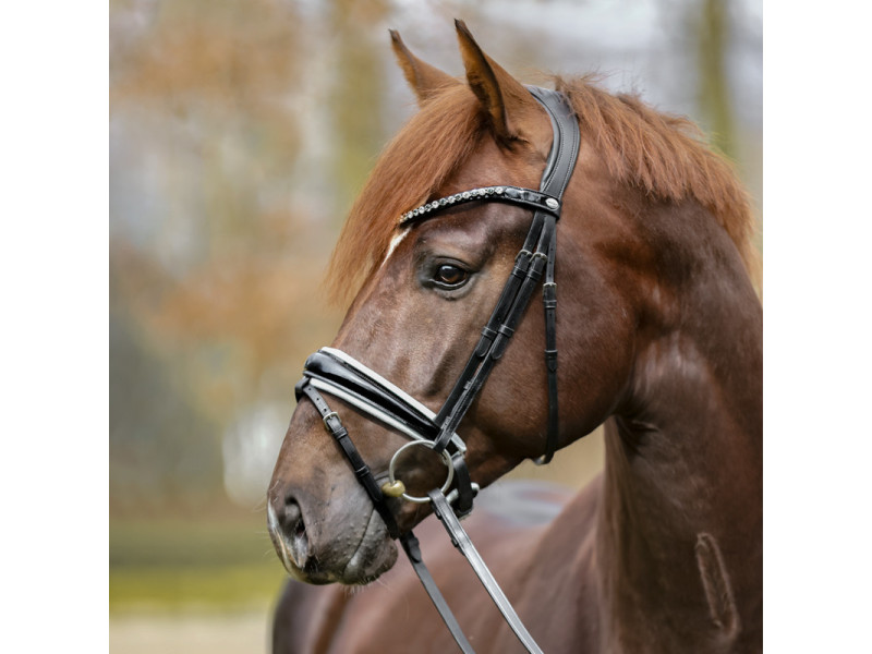 Uzdečka Kavalkade Liliana