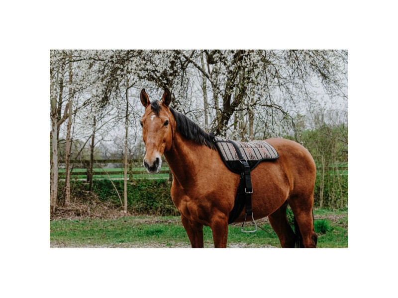 Podložka na jazdenie Norton