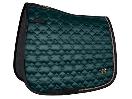 Plstenka pod sedlo FP Hetatite drezúrna