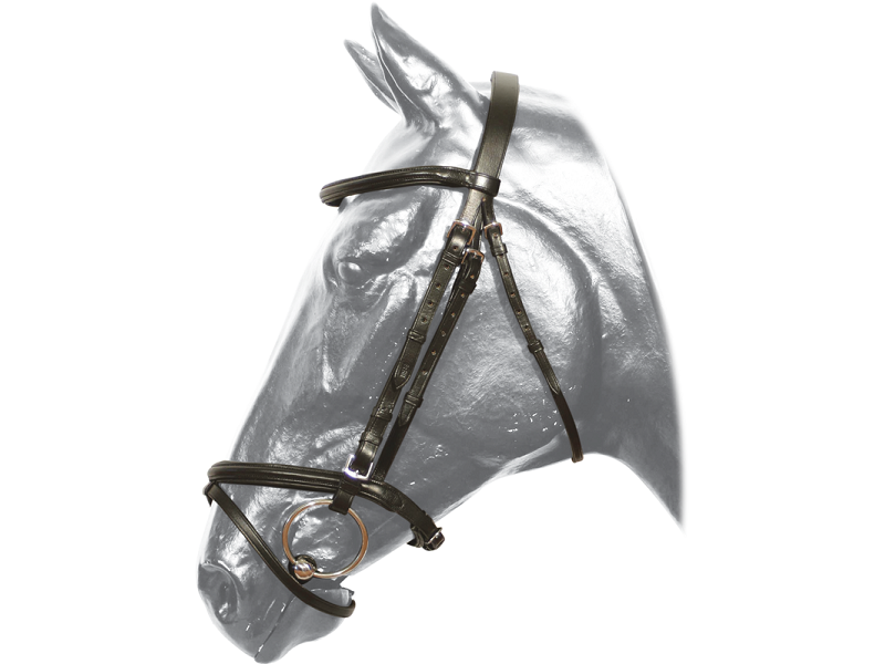 Uzdečka s oťažami Kentaur