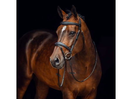 Uzdečka s oťažami Horze Sion